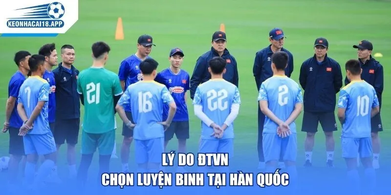 Lý do ĐTVN chọn luyện binh tại Hàn Quốc